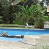 Pool & Bananas
